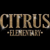 GLT21 GOLD GLITTER Thumbnail