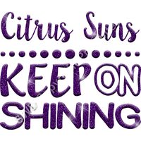 GLT87 PURPLE GLITTER Thumbnail