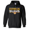 18500 Adult Heavy Blend Hooded Sweatshirt Thumbnail